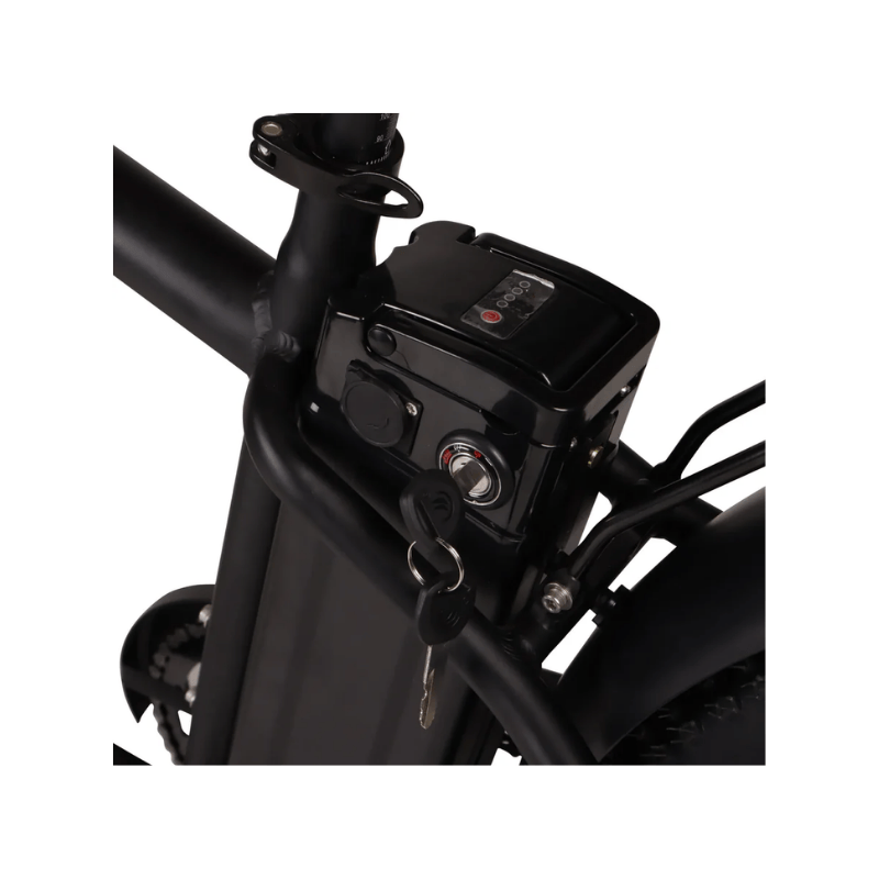 EBIKE BATTERY