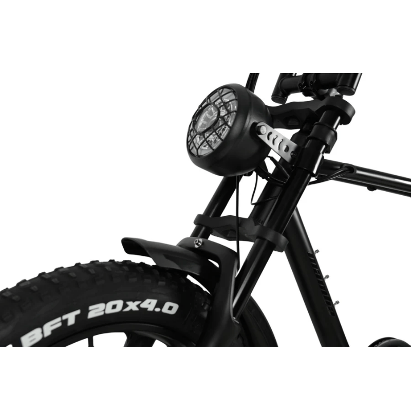FRONT FORK SUSPENSION FOR MAMBA ELECTRIC BIKE