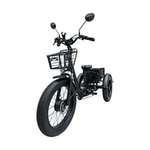 KRISTALL EX200 E-TRIKE