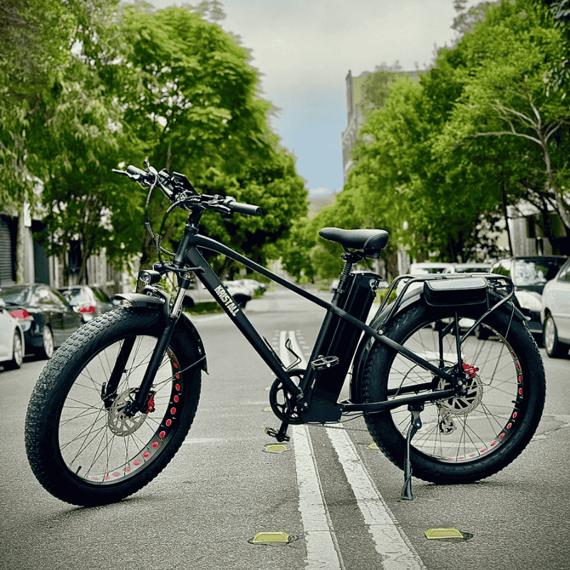 KRISTALL OASIS FOLDING EBIKE