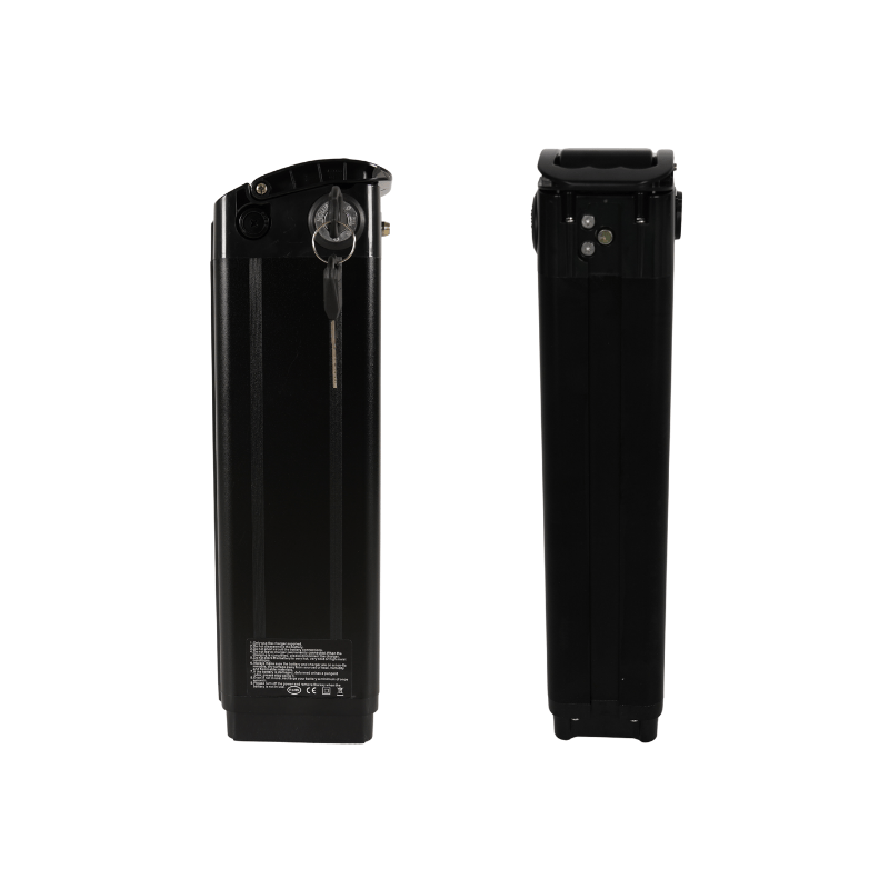 Kristall Y20 (Oasis) E-Bike Battery