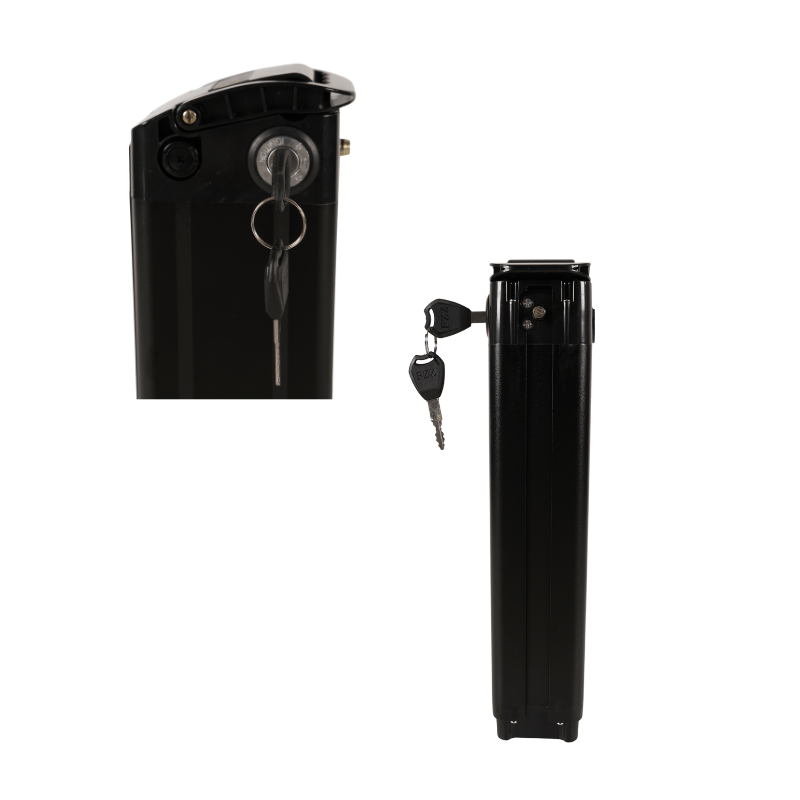 Kristall Y20 (Oasis) E-Bike Battery